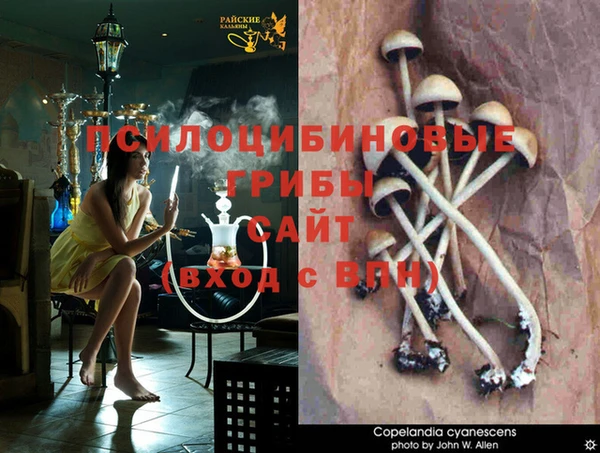 COCAINE Покровск