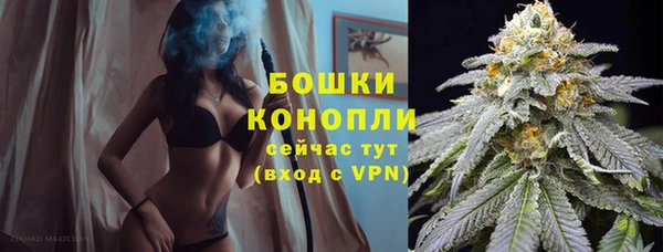 ALPHA-PVP Покров