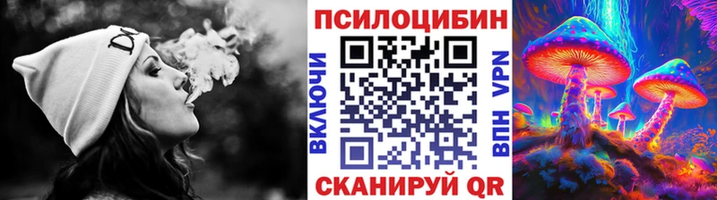 Псилоцибиновые грибы Cubensis  купить наркотик  Аткарск 