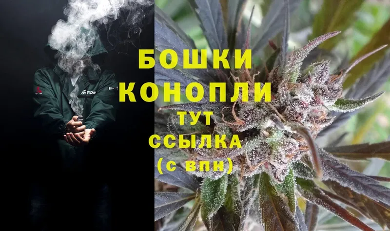 Бошки марихуана THC 21%  Аткарск 